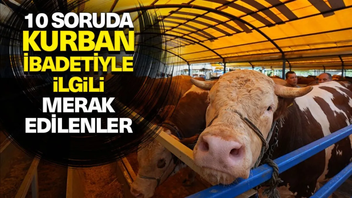 Kurban Bayramı'nda Kurban Kesimiyle İlgili Merak Edilen 10 Soru ve Detaylı Cevapları