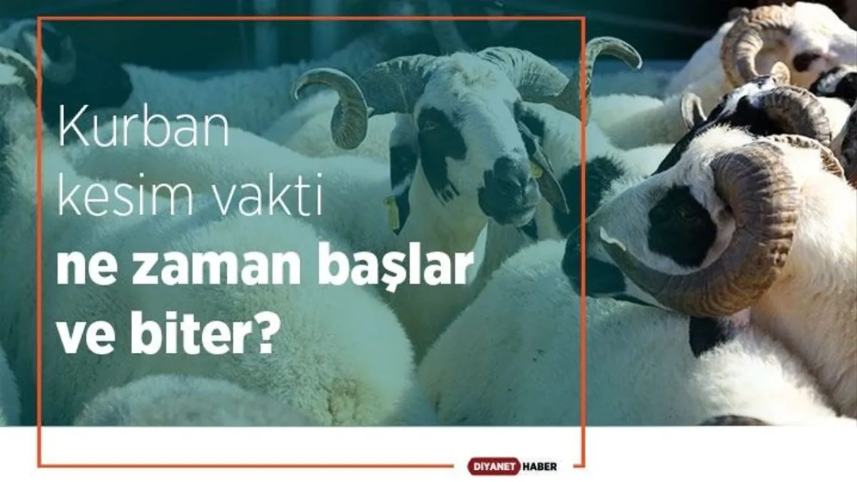 Kurban Kesim Vakti 2024: Ne Zaman Başlar, Ne Zaman Biter? Detaylı Rehber