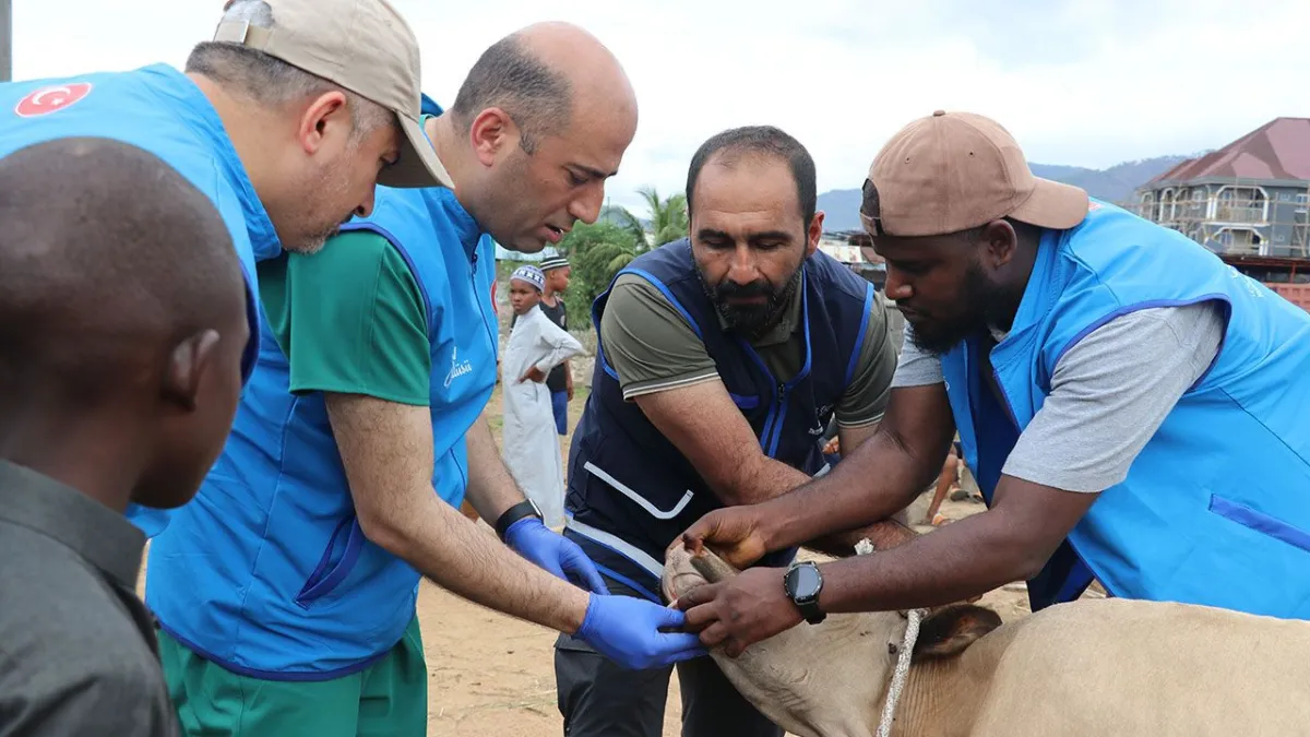 TDV Gönüllüleri Sierra Leone'de Kurban Yardımı Dağıtıyor: Kardeşlik Köprüleri Kuruluyor