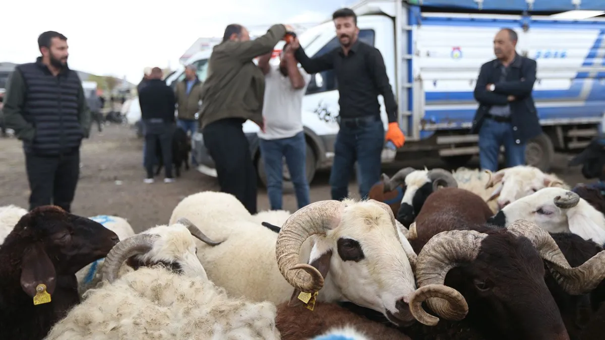 Kurban Bayramı Arifesi: Kars ve Ardahan'da Pazar Hareketliliği ve Güvenlik Uyarıları