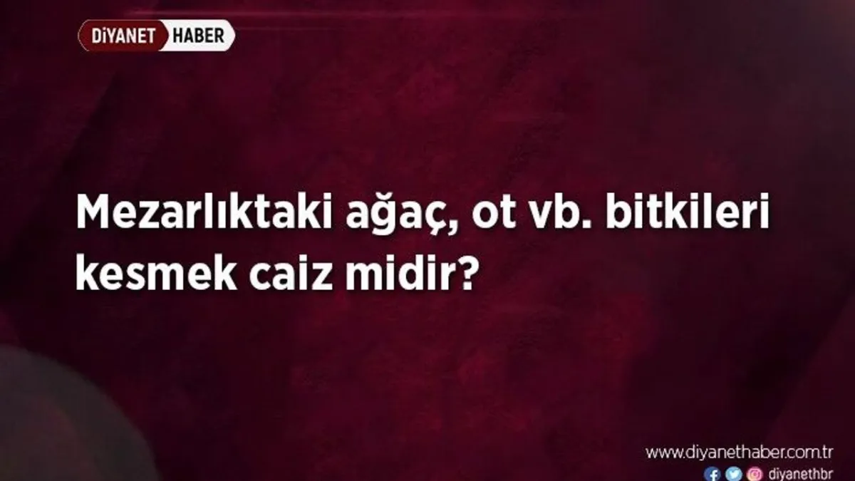 Mezarlık Bitkileri Kesilebilir mi? Diyanet'ten Açıklama Geldi!