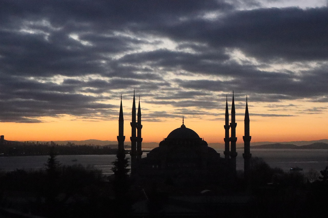 Görüş — Doğa — İstanbul