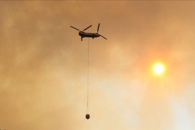 Muğla ve Aydın'da geçen yıl 384 yangında 3 bin 466 hektar alan zarar gördü