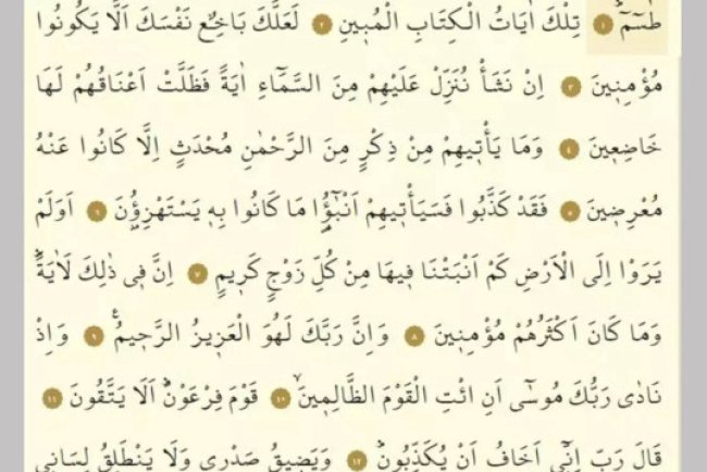 Şuara Suresi Arapça - Türkçe okunuşu, meali ve fazileti