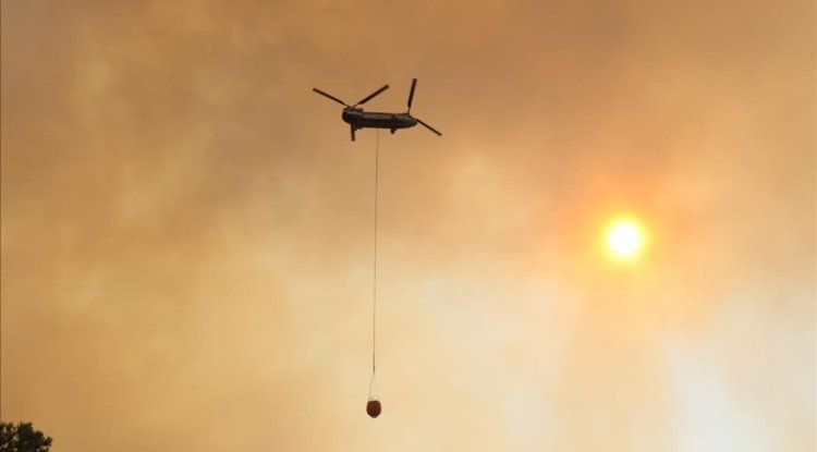 Muğla ve Aydın'da geçen yıl 384 yangında 3 bin 466 hektar alan zarar gördü