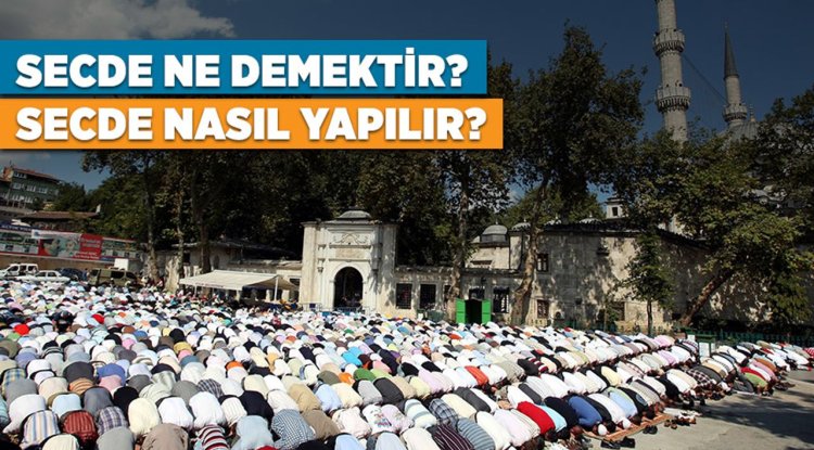 Secde ne demektir? Secde çeşitleri nelerdir?