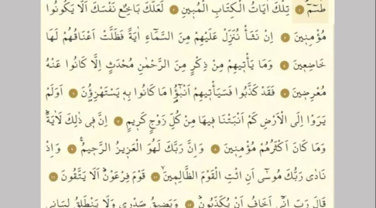 Şuara Suresi Arapça - Türkçe okunuşu, meali ve fazileti