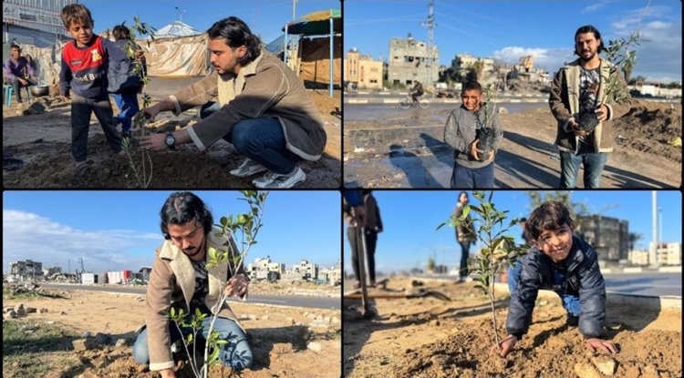 Filistinli ziraat mühendisliği öğrencisi, Gazze'yi tekrar ayağa kaldırmak için ağaç dikme girişimi başlattı