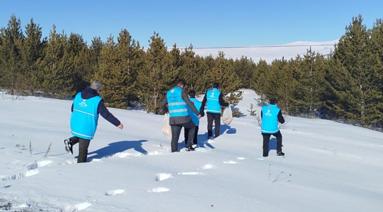 Türkiye'nin en soğuk ilinde yaban hayvanları unutulmadı