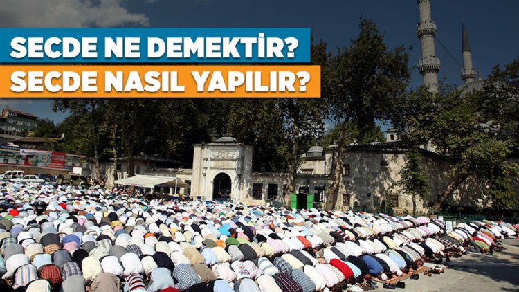 Secde ne demektir? Secde çeşitleri nelerdir?