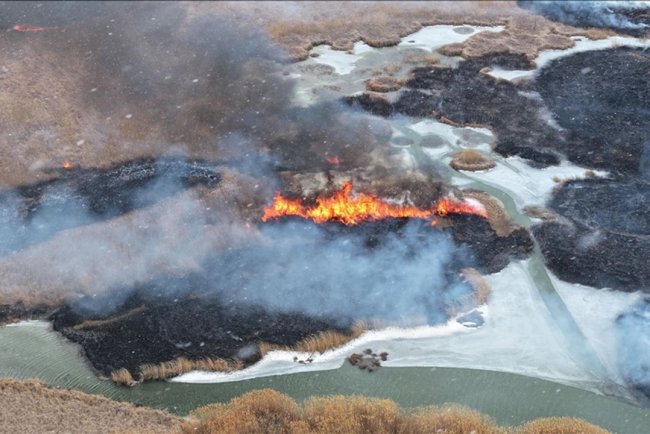 Van'da "kuş cenneti" Dilkaya Sazlığı'nda yangın çıktı