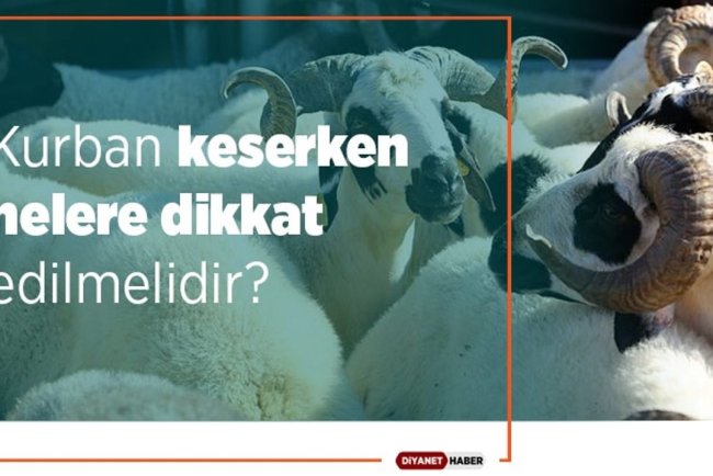 Kurban keserken nelere dikkat edilmelidir?