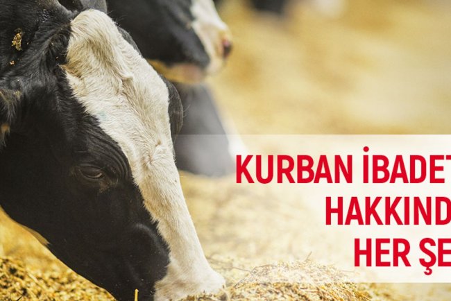Kurban kesmek kimlere vaciptir? Kurban duası nasıl yapılır? Kurban ibadeti hakkında her şey