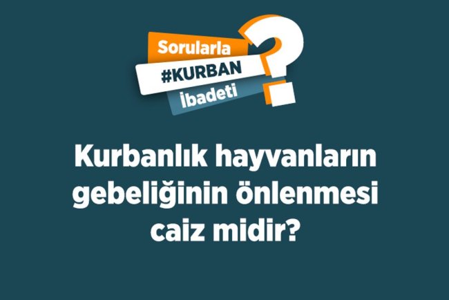 Kurbanlık hayvanların gebeliğinin önlenmesi caiz midir?