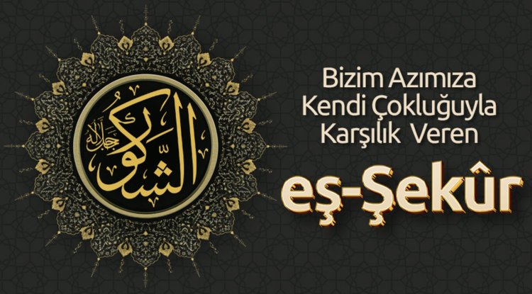 Bizim Azımıza Kendi Çokluğuyla Karşılık  Veren: Eş-Şekûr