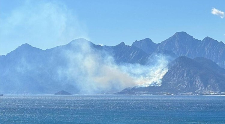 Antalya'da ormanlık alanda çıkan yangına müdahale ediliyor