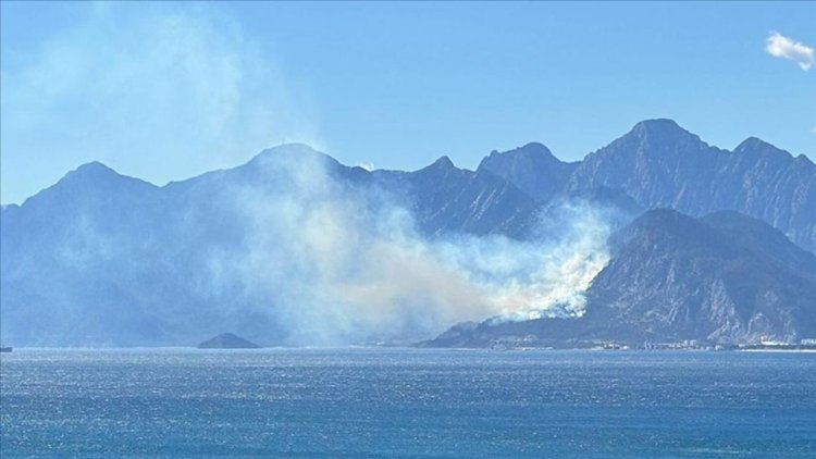 Antalya'da ormanlık alanda çıkan yangına müdahale ediliyor