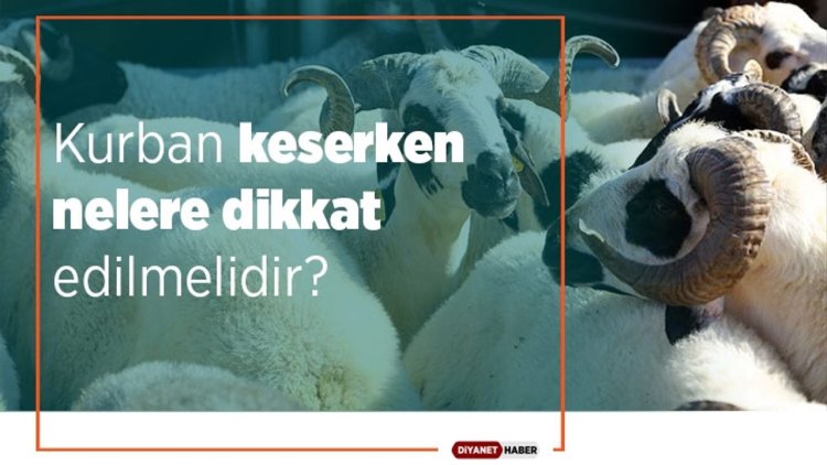 Kurban keserken nelere dikkat edilmelidir?