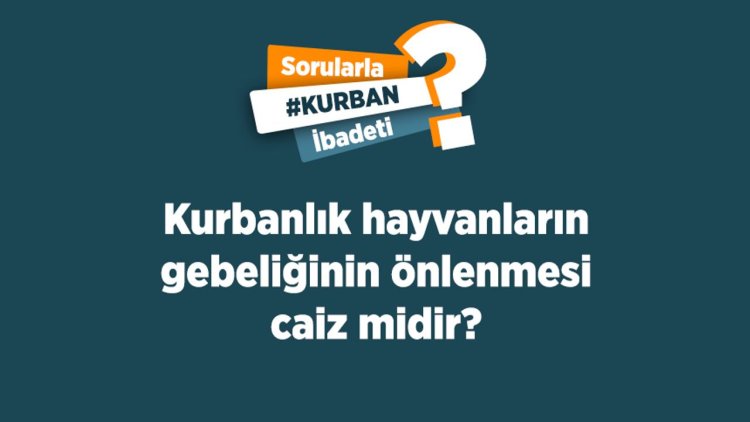 Kurbanlık hayvanların gebeliğinin önlenmesi caiz midir?