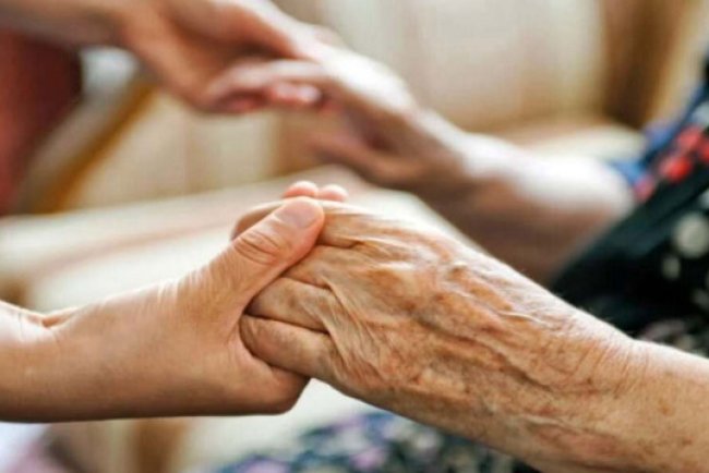 Fitre ile ilgili sıkça sorulan sorular