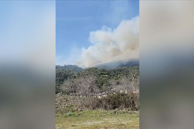 Çanakkale'de çıkan orman yangınına müdahale ediliyor