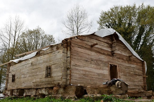 Samsun'da 8 asırlık tarihi çivisiz ahşap camide onarım çalışmaları başladı