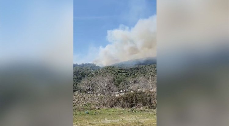 Çanakkale'de çıkan orman yangınına müdahale ediliyor