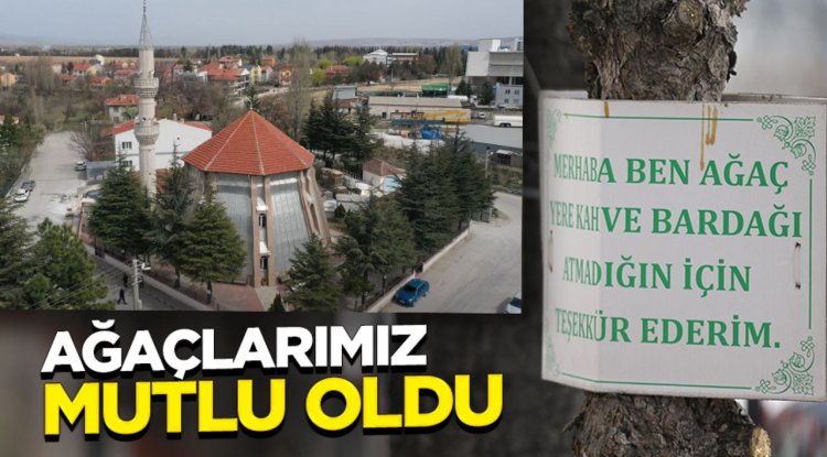 Cami bahçesindeki ağaçlara astığı levhalarla çevre duyarlılığına dikkati çekiyor