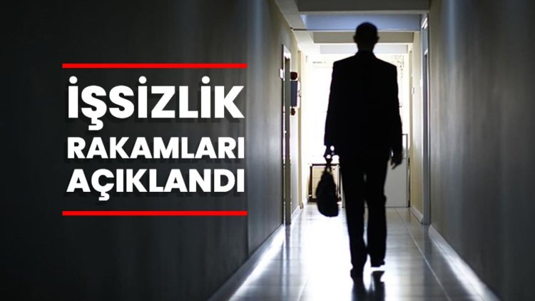 Türkiye'de işsizlik oranı, şubatta bir önceki aya göre 0,2 puan azalarak yüzde 8,2 oldu