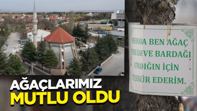 Cami bahçesindeki ağaçlara astığı levhalarla çevre duyarlılığına dikkati çekiyor
