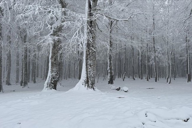 Sakarya, Kocaeli, Bolu, Düzce ve Karabük'ün yüksek kesimlerine kar yağıyor
