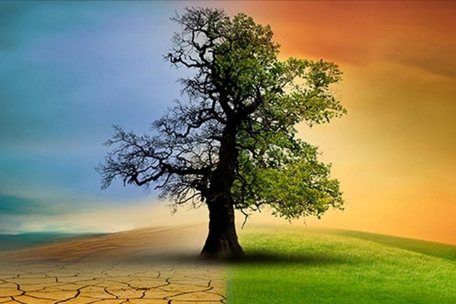 Çevre, Şehircilik ve İklim Değişikliği Bakanlığı 14 soruda "İklim Kanunu Teklifi"ni anlattı