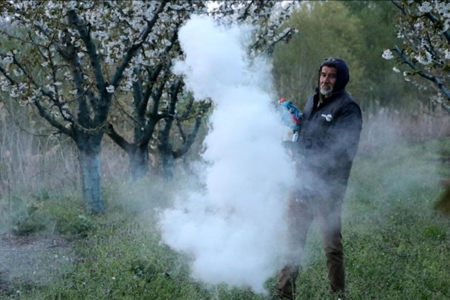 Tekirdağ'da üreticiler "zirai don" nöbeti tutuyor
