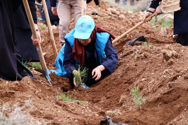 TDV gönüllüleri, Konya'da 10 bin fidanı toprakla buluşturdu