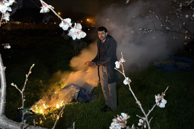Erzincan'da üreticiler çiçek açan ağaçlar için gece ateş başında nöbette