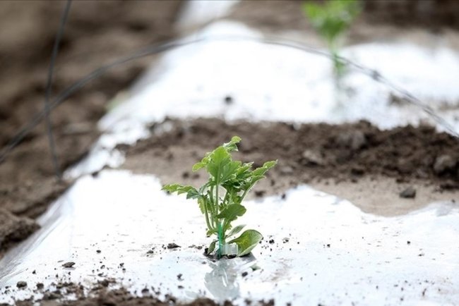 Meteoroloji'den yurdun bazı kesimleri için kar ve zirai don uyarısı