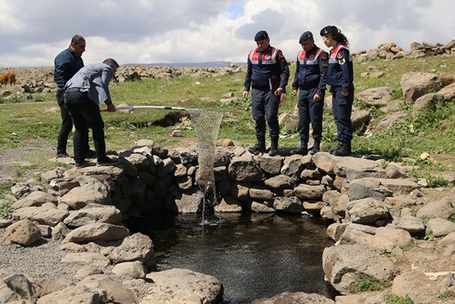 Volkanik dağın eteklerindeki "doğal akvaryum" incelemeye alındı