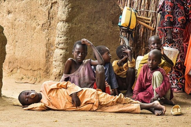 Nijerya'da gıda güvenliği konusunda "ulusal acil durum" ilan edildi