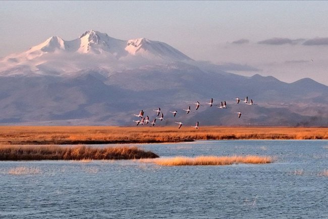 Kayseri'de Sultan Sazlığı Milli Parkı'ndaki yangın söndürüldü