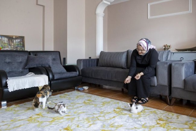 Mersin'de camide doğan kediler büyüyor