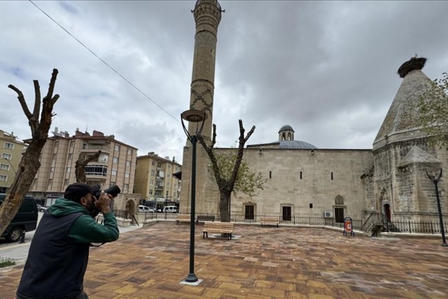 Leylekler tarihi türbenin çatısını mesken tuttu