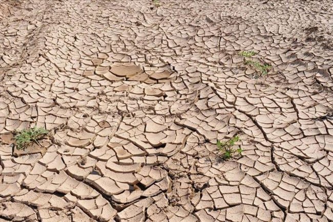 Türkiye son 35 yılın en kurak mart ayını yaşadı