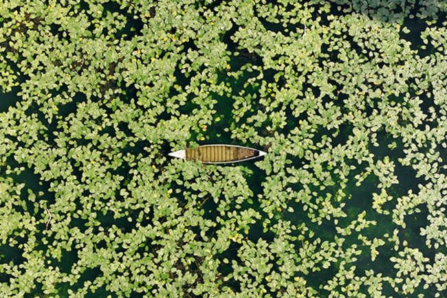 Hatay'daki Gölbaşı Gölü ilkbaharın gelişiyle renklendi