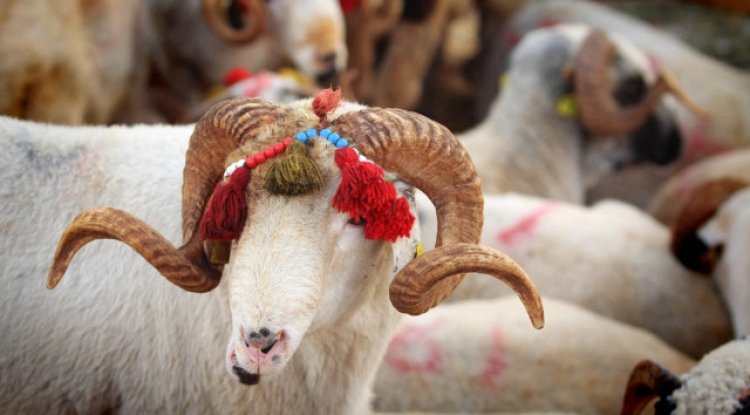 KURBAN BAYRAMI TARİHLERİ 2025: Kurban Bayramı ne zaman? Tatil kaç gün olacak?