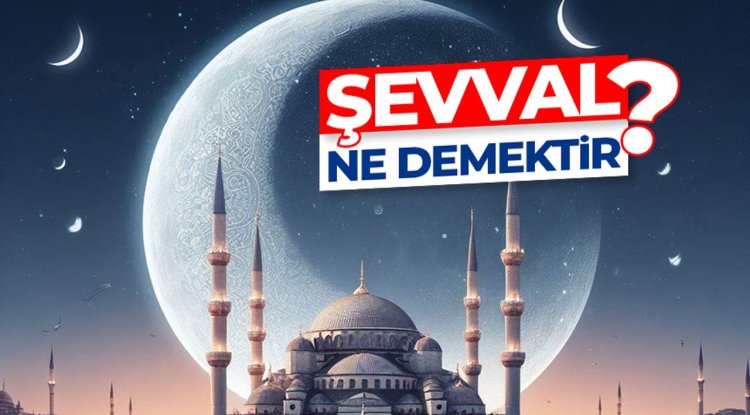 Şevval ne demektir?