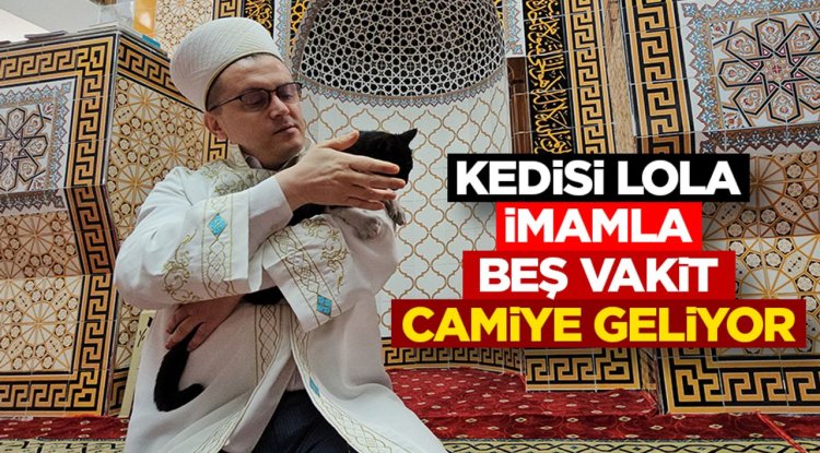 Camideki sadakat; Kedisi Lola imamla beş vakit camiye geliyor