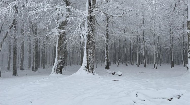 Sakarya, Kocaeli, Bolu, Düzce ve Karabük'ün yüksek kesimlerine kar yağıyor