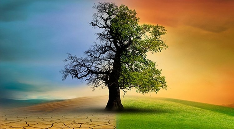 Çevre, Şehircilik ve İklim Değişikliği Bakanlığı 14 soruda "İklim Kanunu Teklifi"ni anlattı