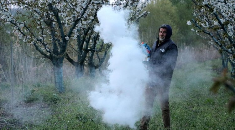 Tekirdağ'da üreticiler "zirai don" nöbeti tutuyor