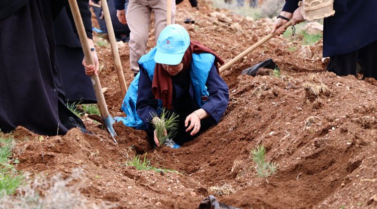 TDV gönüllüleri, Konya'da 10 bin fidanı toprakla buluşturdu
